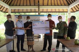 PLN tetapkan Desa Aan-Klungkung jadi desa pertama 100 persen PLN Mobile di Bali