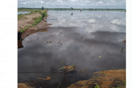 Pemkab Kayong-Utara siap bantu petani gagal panen dampak bencana banjir