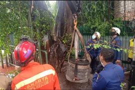 Proses evakuasi batu peninggalan sejarah tahun 1700