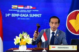 Strong cooperation is key to economic recovery in BIMP-EAGA: Jokowi