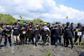 Khofifah ajak bupati dan wali kota se-Jatim "nandur mangrove" di Banyuwangi
