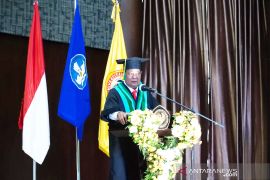 Potensi lahan rawa Kalsel capai 300 ribu hektar untuk pertanian