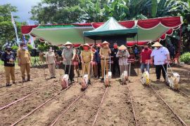 Barantan bantu jaga ketersediaan pangan di Sulut