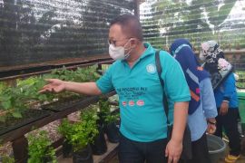 KWT Anggrek Desa Margahayu wakili Kukar lomba tingkat Provinsi Kaltim