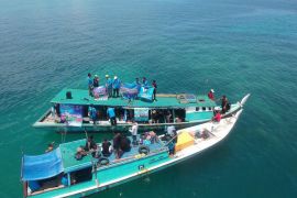 KNPI Bangka Tengah gelar aksi penyelamatan terumbu karang