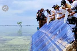Menteri KKP akan jadikan Belitung Timur daerah budi daya kerapu&nbsp;