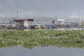 Selamatkan Danau Maninjau dengan jiwa gotong royong