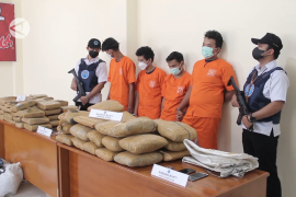 Upaya perangi narkoba di Sumbar perlu sinergisme