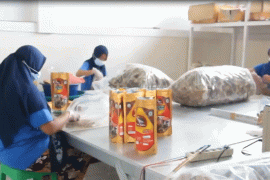 Sucofindo beberkan strategi pelaku UMKM dapat bangkit