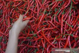 Oktober 2021 Sumbar alami inflasi 0,36 pensen, berikut penyumbangnya