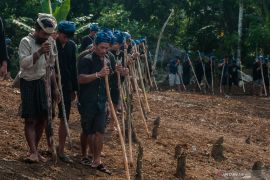 Indonesia readies antivenom for Baduy people against snakebites