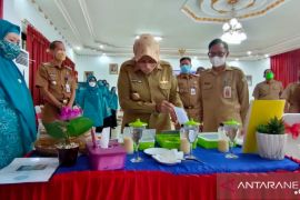 PKK Cerbon juara lomba pangan B2SA dan masak ikan se-Batola 2021