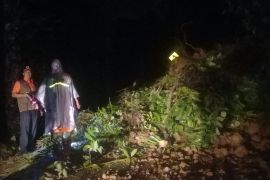 Dua titik longsor landa Agam, akses jalan nasional Bukittinggi-Pasaman sempat terganggu