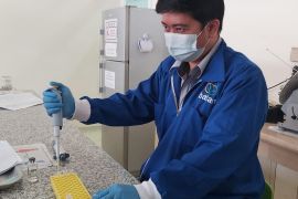 BRIN dan Unpad selesaikan uji praklinis kuning telur kandidat vaksin pasif COVID-19