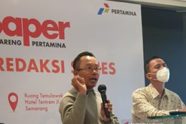 Reforminer Insitutte sebut lingkungan bukan isu utama EBT