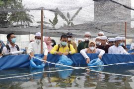 Dukung usaha perikanan pesantren, Adaro tebar puluhan ribu benih Nila