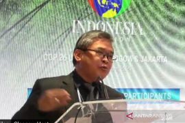 Kemen LHK: FoLU Net Sink tidak sama dengan nol deforestasi