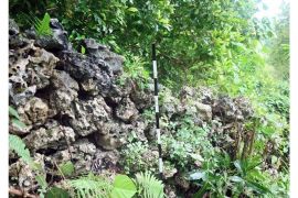 Benteng Alaka bukti sisa pertahanan Hatuhaha melawan penjajah, perlu direnovasi