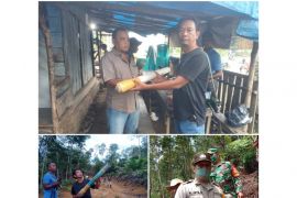 BKSDA Sumut hentikan pencarian jejak harimau di Padang Lawas