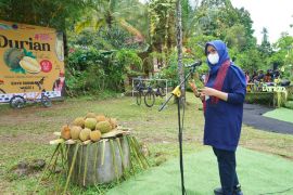 Musim panen, warga Songgon gelar Banyuwangi Festival Durian