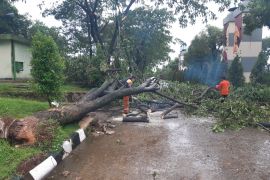 Hujan deras akibatkan 25 titik bencana di Kota Bogor