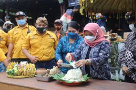 Bupati membuka Gebyar Budaya Sleman Sembada