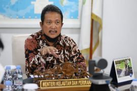 KKP: Penempatan kabel dan pipa bawah laut harus sesuai ekonomi biru