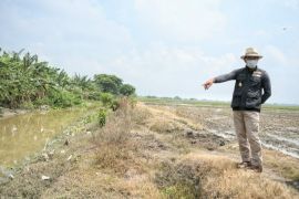 Ridwan Kamil melukis selama menjalani tiga hari masa karantina