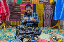 Yuk! intip inspirasi dari 250 UMK di PLN TJSL Fest 2021