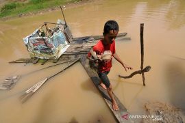 Bayang-bayang merkuri di balik sepiring sayur: Ancaman sunyi yang mengintai pangan