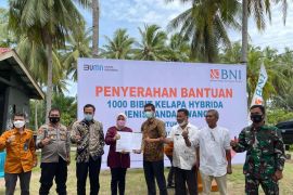 BNI serahkan 1.000 bibit kelapa hybrida jenis Pandan Wangi di Pessel