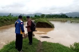 Banjir merendam puluhan hektare lahan pertanian di Tulungagung