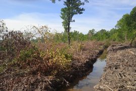 BRGM ajak para petani kembangkan tambak ramah lingkungan