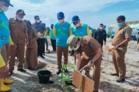 Pemkab Bangka Tengah tanam sebanyak 2.000 bibit pohon di lahan kritis