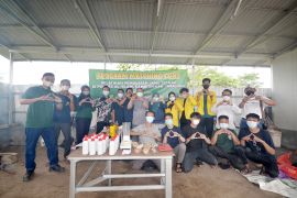 ULM dan Adaro kenalkan jamu ternak untuk pertumbuhan usaha kambing