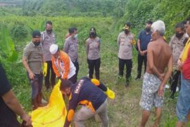 Ditemukan kerangka perempuan di Perkebunan Swasta Mendaris