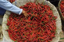 Satgas ketahanan pangan Muba jaga kestabilan harga