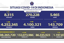 132 juta warga sudah terima dosis pertama vaksin COVID-19