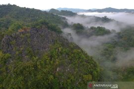 Menteri investasi Bahlil cabut 15 izin konsesi kawasan hutan