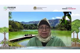 Mangrove restoration, conservation requires commitment: ministry