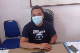 Dinas : Kualitas udang vaname Lebak terbaik di dunia