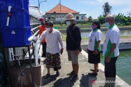 Pemkab Klungkung kembangkan Pertanian Aquaponik