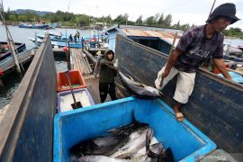KKP terapkan penangkapan ikan terukur di Laut Arafura mulai Maret 2022