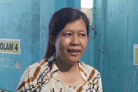 Pengusaha kepiting Timika ingin rambah pasar ekspor Tiongkok