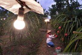 Transisi energi ciptakan peluang untuk keberlanjutan bisnis PLN