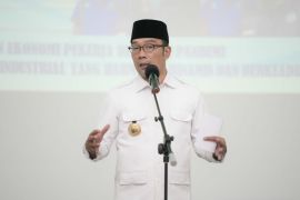 Governor urges West Java residents to avoid long-haul travel