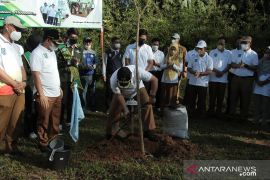 Penanaman pohon di TPA Malutu tandai peringatan HMPI di HSS