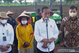 Presiden Jokowi bersama Menko Ekonomi dan Mentan tanam jagung di Janeponto