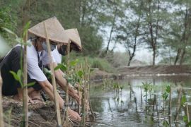 Teleperformance Indonesia dukung harmonisasi  kelestarian lingkungan