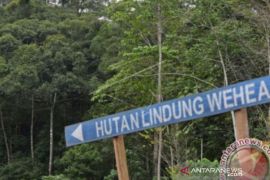 DLH Kaltim usulkan 491.000 ha Wehea-Kelay jadi kawasan strategis provinsi